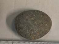 Agat mszysty muszlowy