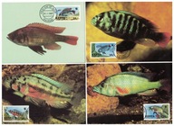 10-MC-GK22- Kenia,WWF,1997- Ryby oceaniczne