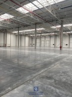 Magazyny i hale, Piaseczno, Piaseczyński, 3000 m²
