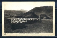 K11149) Afryka: Maroko - Schafhirte
