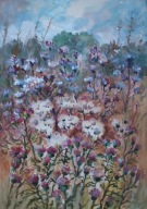 Akwarela Sabina Salamon 42x30 łąka kwiaty trawy