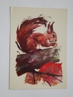 WIEWIÓRKA rys. Janusz Grabiański - pocztówka z 1963 r