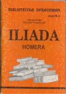 Iliada Homera Danuta Polańczyk