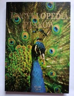 KSIĄŻKA "Encyklopedia ptaków" Praca zbiorowa TWARDA OKŁADKA