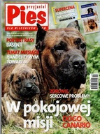 Przyjaciel Pies 10/2006