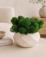 Prezent dla mamy doniczka z mchem chrobotek dekoracja