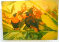 Stara Reklama GOPLANA Poznań, PRL, oryginał z PRL