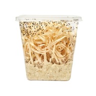 Muszki Owocówki, nieloty Drosophila Melanogaster , XL 200sztk.