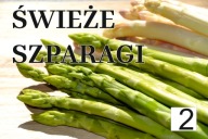 REKLAMA BANER SZPARAGI SPRZEDAŻ SZPARAGÓW 200x100 2x1 2