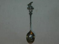 ŁYŻECZKA KOLEKCJONERSKA PANORAMICZNA FLORIDA