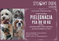 Voucher na pielęgnację psa do 10 kg–Stylowy Pupil Tychy / WOŚP Kobiór