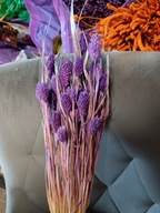 Trawy Mozga Kanar naturalna susz suszona trawa bukiet fioletowa