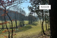 Działka, Rąb, Przodkowo, Kartuski, 16822 m²