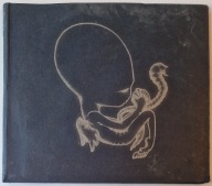 Sigur Rós Ágætis Byrjun CD Irl