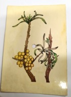 Pocztówka dźwiękowa PRL – Beatles (opis) – rokitnik – Missanowa