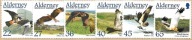 PTAKI EUROPY ALDERNEY 2002 Drapieżne Mi 188-93. Stan BDB.