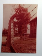 OŚWIĘCIM 1981- FRAGMENT PODWÓJNYCH DRUTÓW KOLCZASTYCH POD NAPIĘCIEM