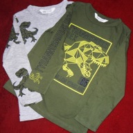 Bluzeczki dinozaury r. 110/116 H&M* 2 sztuki