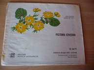 David Essex - Gonna make you a star (pocztówka)