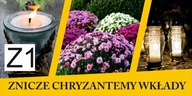 BANER PLANDEKA SPRZEDAŻ ZNICZY ZNICZE CHRYZANTEMY 120X80 Z1