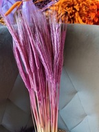 Żyto fiolet naturalne suszone zboże susz kwiaty kompozycje lila róż