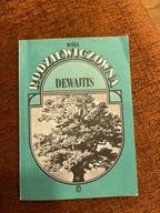 "Dewajtis" Maria Rodziewiczówna