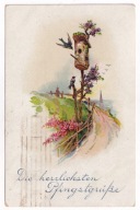 Jaskółka Jaskółki budka lęgowa droga 1918r. Litografia Zielone Świątki