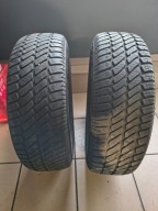Opona całoroczna Dębica Navigator 2 195/65R15 91 T 2szt