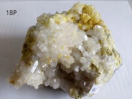 MIN 1437 SIARKA CELESTYN MACHÓW okaz 350 zł