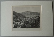 DUSZNIKI ZDRÓJ, (BAD REINERZ), DOLNY ŚLĄSK, Widok ogólny, drzeworyt, 1892