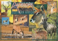 RPA - ANTYLOPA - IMPALA - SPRINGBOK - KUDU - NYALA - STEENBOK - GEMSBOK