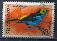 Holandia kolonie - Surinam kas 22/4 - ptaki