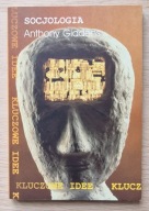 Anthony Giddens, Socjologia (Kluczowe idee)
