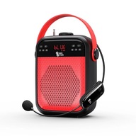Wzmacniacz Głosu 25W z Mikrofonem do 35m Spacetronik Bluetooth Radio FM