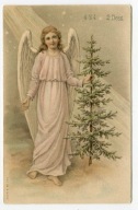 BOŻE NARODZENIE - ANIOŁ Z CHOINKĄ - c. 1902