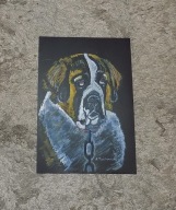 OBRAZ Rysunek Tusz Pies Bernardyn