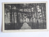 Dźwirzyno Kolberger Deep k / Kołobrzeg hotel plażowy od frontu 1910