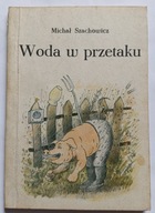 KSIĄŻKA " Woda w przetaku" Michał Szachowicz SATYRA