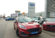 Ford Kuga Demo St-Line X Black Pakiet 4 lata ochrony Gratis 2.5 225KM