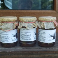 SYROP ZE ŚWIEŻYCH LIŚCI POKRZYWY 360 ML ZGODNY Z NATURĄ DOMOWY