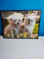 Obraz obrazek 3D pies kot twój wymiar (12)