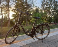 Rower elektryczny KALKHOFF Agattu IMPULSE 17 Ah 36 V