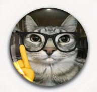 PRZYPINKI BADZIKI BUTTONY ZNACZKI 58 mm – na każdy gust! CAT KOTEK