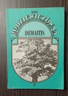 Dewajtis Maria Rodziewiczówna