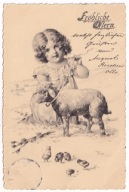 Dziecko dziewczynka owce kurczaki 1904r.