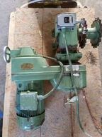 Silnik z przekładnią / motoreduktor kątowy