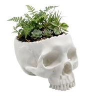 Doniczka Czaszka na sukulenty dekoracyjna biała plastikowa wys. 10 cm