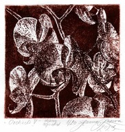 "Orchidee V" akwaforta, akwatinta, 10x10/20 x 20 cm