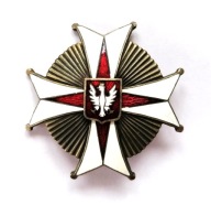 Odznaka 22 Pułk Ułanów