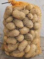 Ziemniaki Soraya 15KG ECO Polskie Nie Myte od rolnika bez pośrednika